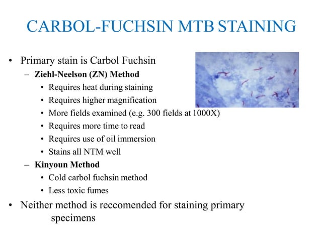 Mycobacterium tuberculosis smear microscopy | PPTX | Infectious ...