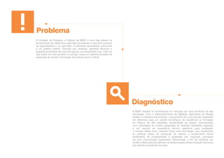 A Unidade de Proteção e Cultivos da BASF é uma das líderes no
fornecimento de defensivos agrícolas inovadores e uma forte parceira
da agroindústria e do agricultor. A empresa necessitava comunicar
a um público restrito, formado por usineiros, gerentes técnicos e
grandes produtores de cana-de-açúcar, um lançamento que, mais do
que trazer um novo produto ou serviço, trazia um sistema inovador na
produção de mudas e formação de viveiros para a cultura.
A BASF sempre foi reconhecida no mercado por seus produtos de alta
tecnologia. Com o desenvolvimento de AgMusa, Agricultura de Mudas
Sadias, a empresa transcendeu o lançamento de uma solução específica
em defensivo para um pacote tecnológico de excelência na formação
de viveiros de alta sanidade, simplicidade de plantio (mecanizado)
com variedades de mudas adaptadas às distintas realidades regionais
e um serviço de assistência técnica extensiva para instalação
e manejo desse novo canavial. Essa nova tecnologia, que revoluciona
as práticas atuais de produção de viveiros e proporciona novos
parâmetros de produtividade e qualidade nos canaviais, precisava
de uma comunicação igualmente diferenciada, a fim de mobilizar um
público seleto para ser parceiro na disseminação dessa inovação exclusiva
aos demais produtores de cana.
Problema
Diagnóstico
 