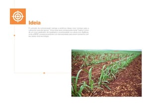 O conceito de comunicação carrega a essência desse novo começo para a
cultura de cana-de-açúcar. “Uma nova cana começa pela muda” traduz o início
de um novo parâmetro de qualidade e produtividade na cultura com AgMusa,
onde a BASF convida produtores com exclusividade para serem pioneiros com
ela nessa nova tecnologia.
Ideia
 