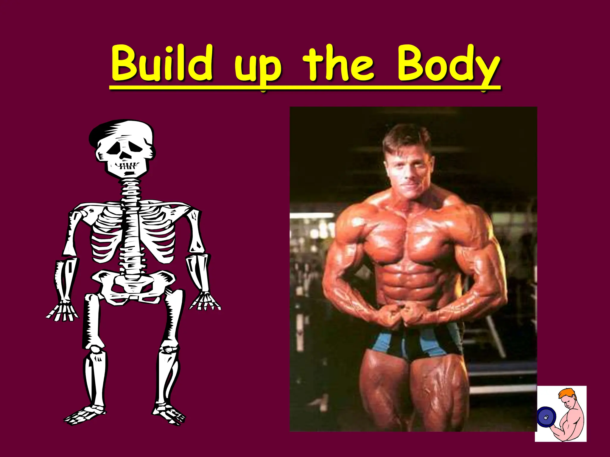 Build up the Body
 