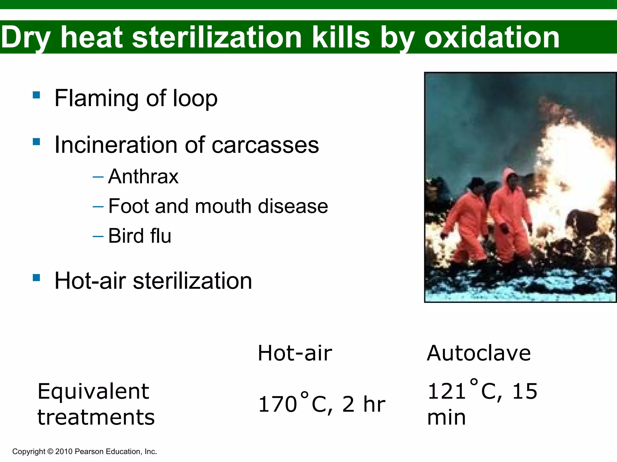 Copyright © 2010 Pearson Education, Inc.
Hot-air Autoclave
Equivalent
treatments
170˚C, 2 hr
121˚C, 15
min
Dry heat sterilization kills by oxidation
 Flaming of loop
 Incineration of carcasses
− Anthrax
− Foot and mouth disease
− Bird flu
 Hot-air sterilization
 