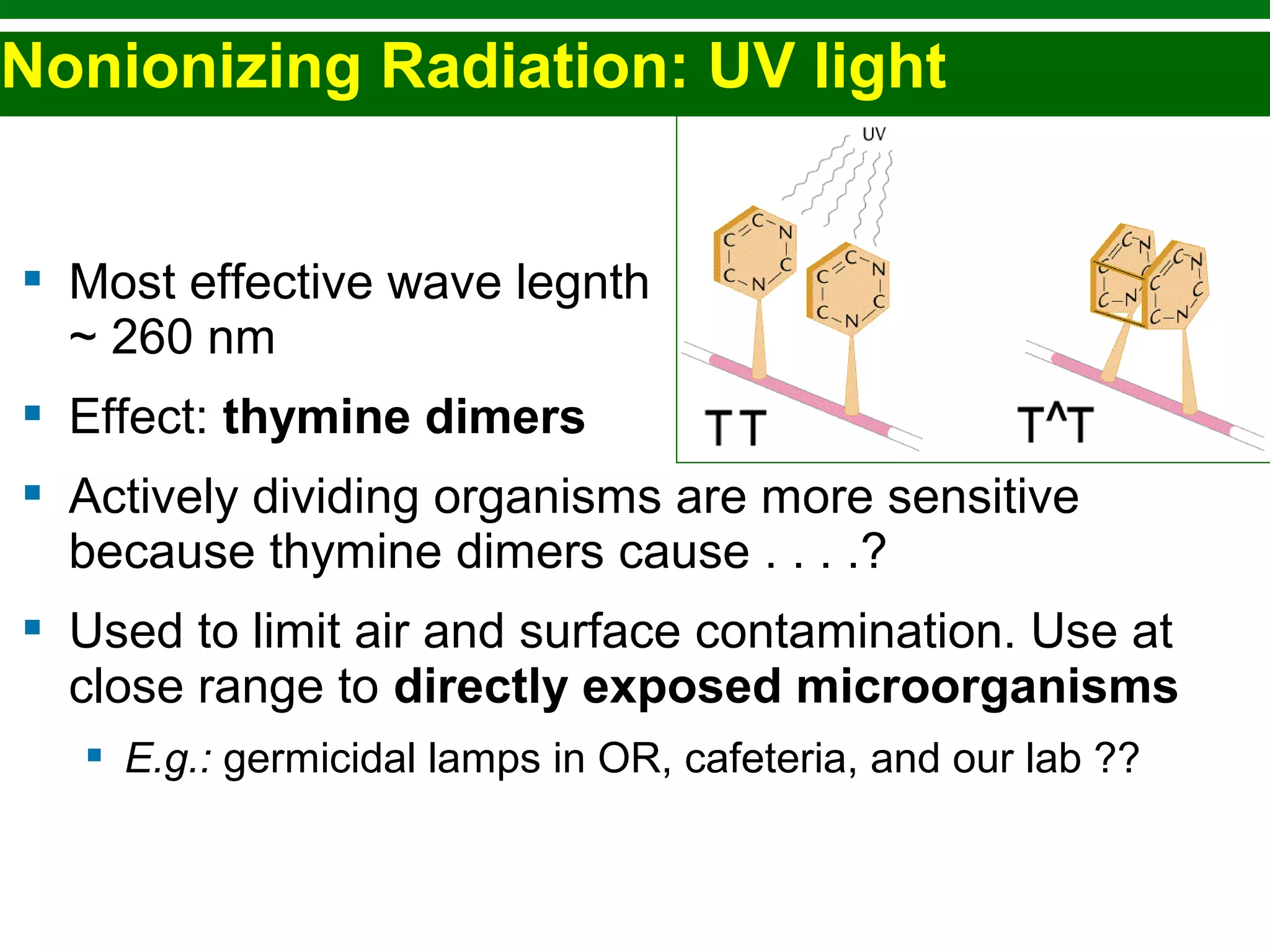 Copyright © 2010 Pearson Education, Inc.
 Most effective wave legnth
~ 260 nm
 Effect: thymine dimers
 Actively dividing organisms are more sensitive
because thymine dimers cause . . . .?
 Used to limit air and surface contamination. Use at
close range to directly exposed microorganisms
 E.g.: germicidal lamps in OR, cafeteria, and our lab ??
Nonionizing Radiation: UV light
 