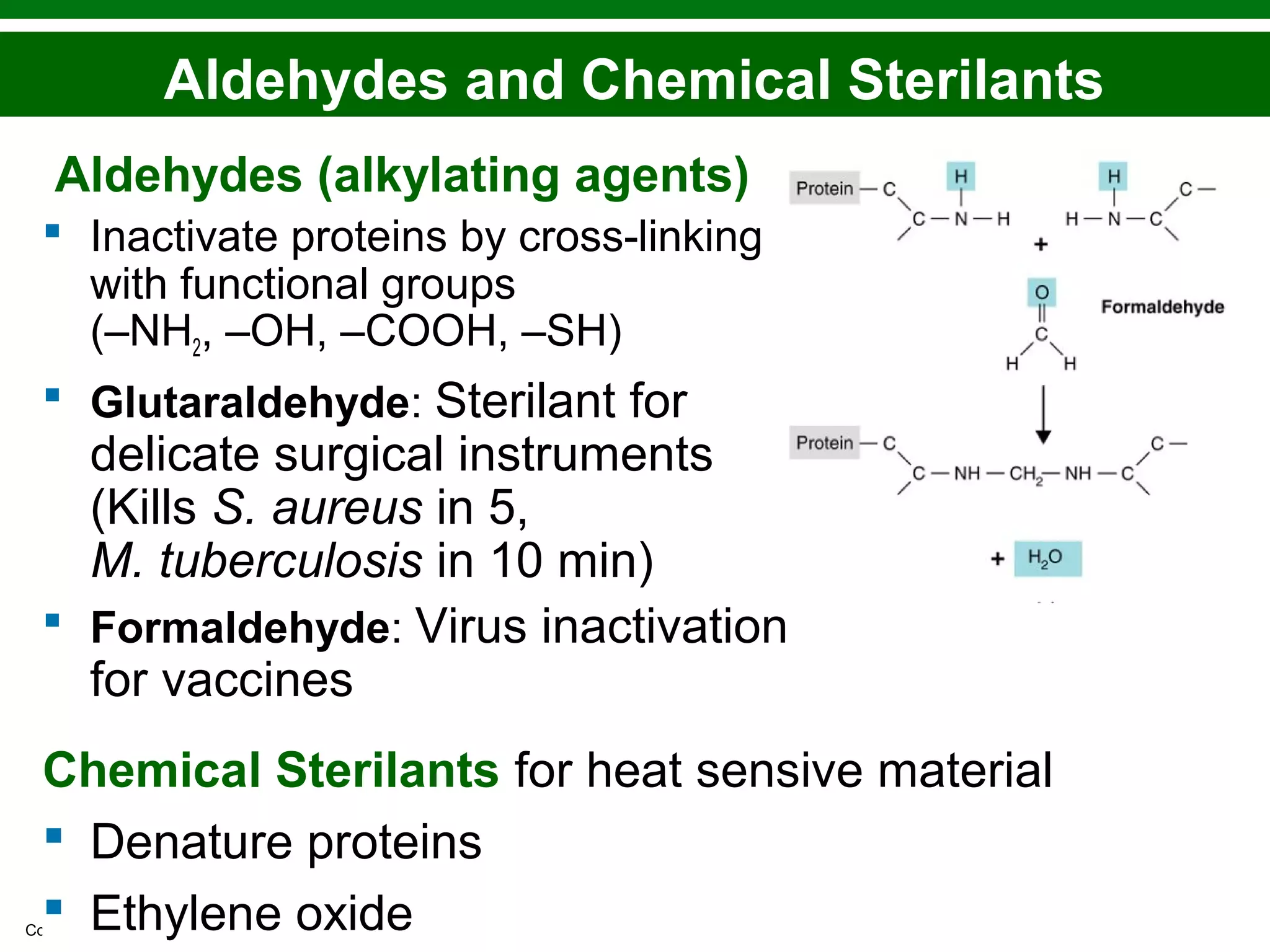 Copyright © 2010 Pearson Education, Inc.
Aldehydes (alkylating agents)
 Inactivate proteins by cross-linking
with functional groups
(–NH2, –OH, –COOH, –SH)
 Glutaraldehyde: Sterilant for
delicate surgical instruments
(Kills S. aureus in 5,
M. tuberculosis in 10 min)
 Formaldehyde: Virus inactivation
for vaccines
Chemical Sterilants for heat sensive material
 Denature proteins
 Ethylene oxide
Aldehydes and Chemical Sterilants
 