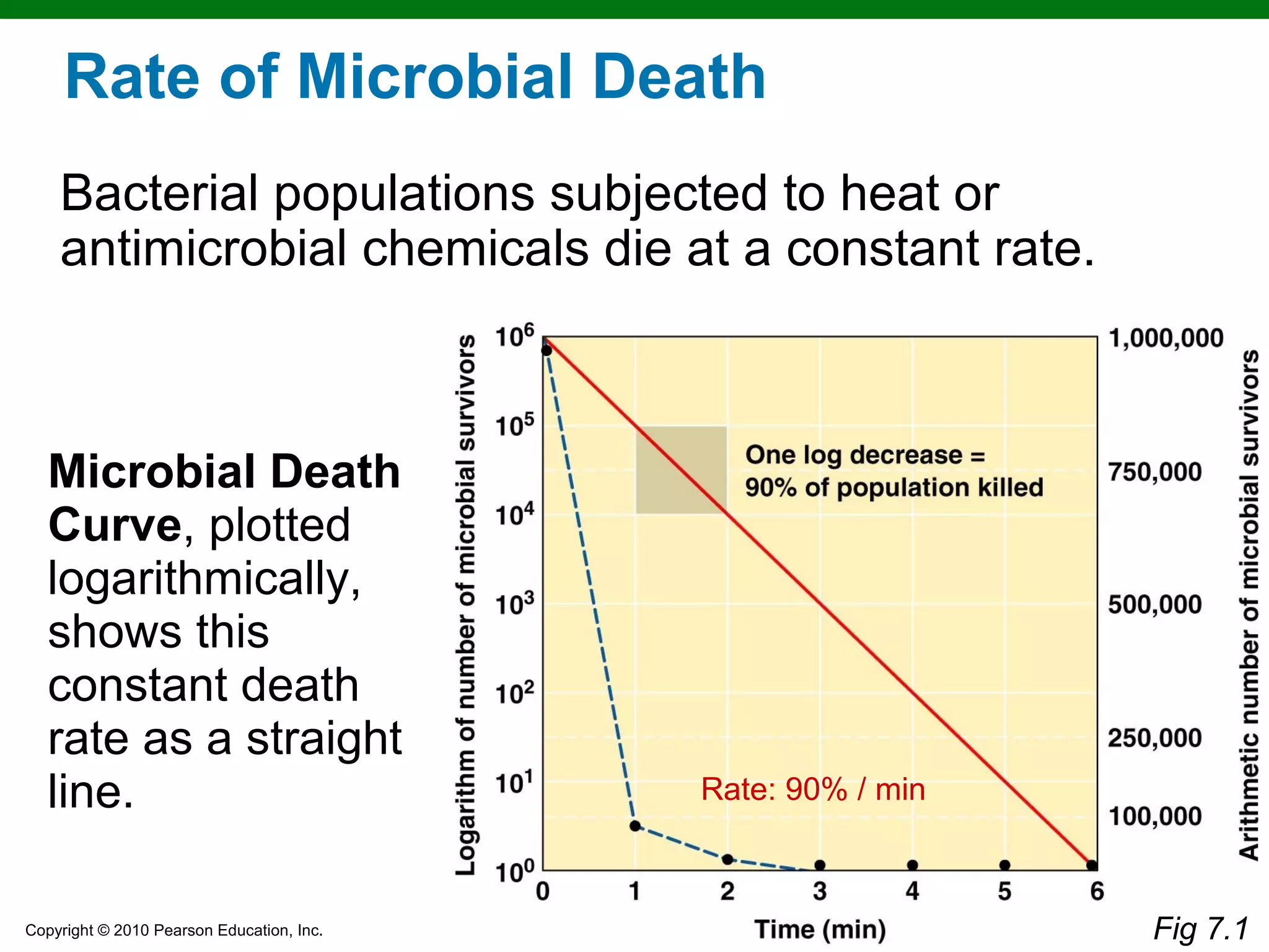 Copyright © 2010 Pearson Education, Inc.
Microbial Death
Curve, plotted
logarithmically,
shows this
constant death
rate as a straight
line.
Figure 7.1a
Rate of Microbial Death
Bacterial populations subjected to heat or
antimicrobial chemicals die at a constant rate.
Rate: 90% / min
Fig 7.1
 
