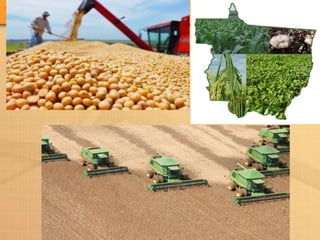 História de MT -  considerações gerais