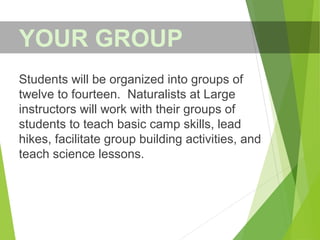 Students will be organized into groups of
twelve to fourteen. Naturalists at Large
instructors will work with their groups of
students to teach basic camp skills, lead
hikes, facilitate group building activities, and
teach science lessons.
YOUR GROUP
 