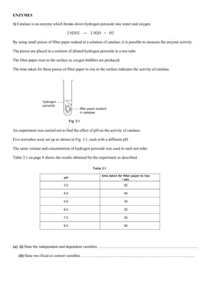 ENZYMES
1) Catalase is an enzyme which breaks down hydrogen peroxide into water and oxygen.
2 H2O2 → 2 H2O + O2
By using small pieces of filter paper soaked in a solution of catalase, it is possible to measure the enzyme activity.
The pieces are placed in a solution of diluted hydrogen peroxide in a test-tube.
The filter paper rises to the surface as oxygen bubbles are produced.
The time taken for these pieces of filter paper to rise to the surface indicates the activity of catalase.
An experiment was carried out to find the effect of pH on the activity of catalase.
Five test-tubes were set up as shown in Fig. 3.1, each with a different pH.
The same volume and concentration of hydrogen peroxide was used in each test-tube.
Table 3.1 on page 8 shows the results obtained for the experiment as described.
(a) (i) State the independent and dependent variables ………………………………………………………………….
(ii) State two fixed or control variables ……………………………………………………………………………
 