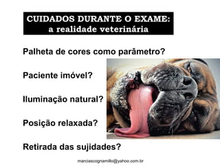CUIDADOS DURANTE O EXAME:CUIDADOS DURANTE O EXAME:
a realidade veterináriaa realidade veterinária
marciascognamillo@yahoo.com.br
Palheta de cores como parâmetro?
Paciente imóvel?
Iluminação natural?
Posição relaxada?
Retirada das sujidades?
 