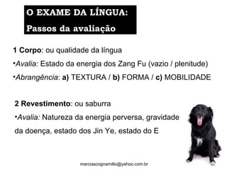 1 Corpo: ou qualidade da língua
•Avalia: Estado da energia dos Zang Fu (vazio / plenitude)
•Abrangência: a) TEXTURA / b) FORMA / c) MOBILIDADE
2 Revestimento: ou saburra
•Avalia: Natureza da energia perversa, gravidade 
da doença, estado dos Jin Ye, estado do E
O EXAME DA LÍNGUA:O EXAME DA LÍNGUA:
Passos da avaliaçãoPassos da avaliação
marciascognamillo@yahoo.com.br
 