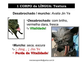 1 CORPO da LÍNGUA: Textura1 CORPO da LÍNGUA: Textura
•Desabrochado: com brilho,
vermelha clara, fresca
•‫ﻡ‬ Vitalidade!Vitalidade!
•Murcho: seca, escura
•‫ﻡ‬ ↓ Jing , ↓ Jin Ye
= Perda de VitalidadePerda de Vitalidade!
Desabrochado / murcho: Avalia Jin Ye
marciascognamillo@yahoo.com.br
 