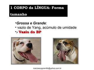 •Grossa e Grande:
• vazio de Yang, acúmulo de umidade
•‫ﻡ‬ Vazio do BPVazio do BP
1 CORPO da LÍNGUA: Forma1 CORPO da LÍNGUA: Forma
tamanhotamanho
marciascognamillo@yahoo.com.br
 