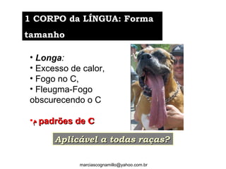 • Longa:
• Excesso de calor,
• Fogo no C,
• Fleugma-Fogo
obscurecendo o C
•‫ﻡ‬‫ﻡ‬ padrões depadrões de CC
Aplicável a todas raças?Aplicável a todas raças?
1 CORPO da LÍNGUA: Forma1 CORPO da LÍNGUA: Forma
tamanhotamanho
marciascognamillo@yahoo.com.br
 