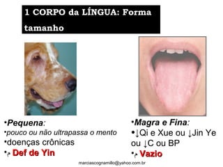 •Magra e Fina:
•↓Qi e Xue ou ↓Jin Ye
ou ↓C ou BP
•‫ﻡ‬ VazioVazio
1 CORPO da LÍNGUA: Forma1 CORPO da LÍNGUA: Forma
tamanhotamanho
•Pequena:
•pouco ou não ultrapassa o mento
•doenças crônicas
•‫ﻡ‬ Def de YinDef de Yin
marciascognamillo@yahoo.com.br
 