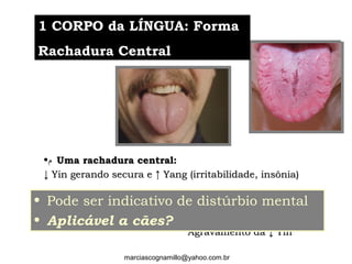 •‫ﻡ‬ Uma rachadura central:Uma rachadura central:
↓↓ Yin gerando secura e ↑ Yang (irritabilidade, insônia)Yin gerando secura e ↑ Yang (irritabilidade, insônia)
•‫ﻡ‬ Muitas rachaduras:Muitas rachaduras:
Agravamento da ↓ YinAgravamento da ↓ Yin
• Pode ser indicativo de distúrbio mental
• Aplicável a cães?
1 CORPO da LÍNGUA: Forma1 CORPO da LÍNGUA: Forma
Rachadura CentralRachadura Central
marciascognamillo@yahoo.com.br
 