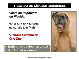 •Mole ou Impotente
ou Flácida:
•Qi e Xue não nutrem
os canais (Jin Mai)
•‫ﻡ‬ Vazio extremo deVazio extremo de
Qi e XueQi e Xue
marciascognamillo@yahoo.com.br
• Indicativo de doença grave
• Aplicável a cães?
1 CORPO da LÍNGUA: Mobilidade1 CORPO da LÍNGUA: Mobilidade
 