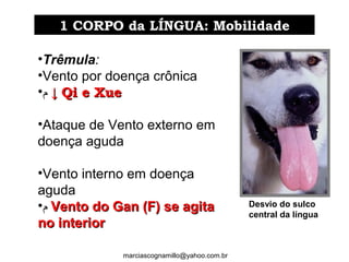•Trêmula:
•Vento por doença crônica
•‫ﻡ‬ ↓↓ Qi e XueQi e Xue
•Ataque de Vento externo em
doença aguda
•Vento interno em doença
aguda
•‫ﻡ‬ Vento do Gan (F) se agitaVento do Gan (F) se agita
no interiorno interior
marciascognamillo@yahoo.com.br
1 CORPO da LÍNGUA: Mobilidade1 CORPO da LÍNGUA: Mobilidade
Desvio do sulco
central da língua
 
