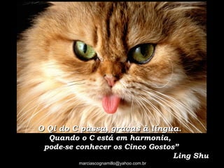 O Qi do C passa, graças à língua.O Qi do C passa, graças à língua.
Quando o C está em harmonia,Quando o C está em harmonia,
pode-se conhecer os Cinco Gostos”pode-se conhecer os Cinco Gostos”
Ling ShuLing Shu
marciascognamillo@yahoo.com.br
 