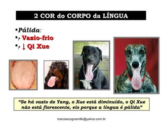•Pálida:
•‫ﻡ‬ Vazio-frioVazio-frio
•‫ﻡ‬ ↓↓ Qi XueQi Xue
2 COR do CORPO da LÍNGUA2 COR do CORPO da LÍNGUA
““Se há vazio de Yang, o Xue está diminuído, o Qi XueSe há vazio de Yang, o Xue está diminuído, o Qi Xue
não está florescente, eis porque a língua é pálida”não está florescente, eis porque a língua é pálida”
marciascognamillo@yahoo.com.br
 