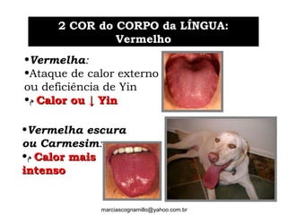 2 COR do CORPO da LÍNGUA:2 COR do CORPO da LÍNGUA:
VermelhoVermelho
•Vermelha:
•Ataque de calor externo
ou deficiência de Yin
•‫ﻡ‬ Calor ou ↓ YinCalor ou ↓ Yin
•Vermelha escura
ou Carmesim:
•‫ﻡ‬ Calor maisCalor mais
intensointenso
marciascognamillo@yahoo.com.br
 