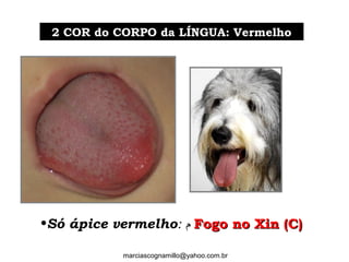 2 COR do CORPO da LÍNGUA: Vermelho2 COR do CORPO da LÍNGUA: Vermelho
•Só ápice vermelho: ‫ﻡ‬ Fogo no Xin (C)Fogo no Xin (C)
marciascognamillo@yahoo.com.br
 