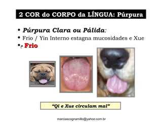 2 COR do CORPO da LÍNGUA: Púrpura2 COR do CORPO da LÍNGUA: Púrpura
• Púrpura Clara ou Pálida:
• Frio / Yin Interno estagna mucosidades e Xue
•‫ﻡ‬ FrioFrio
marciascognamillo@yahoo.com.br
““Qi e Xue circulam mal”Qi e Xue circulam mal”
 