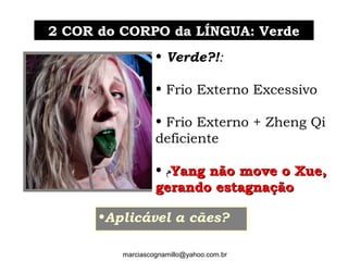 • Verde?!:
• Frio Externo Excessivo
• Frio Externo + Zheng Qi
deficiente
• ‫ﻡ‬Yang não move o Xue,Yang não move o Xue,
gerando estagnaçãogerando estagnação
•Aplicável a cães?
2 COR do CORPO da LÍNGUA: Verde2 COR do CORPO da LÍNGUA: Verde
marciascognamillo@yahoo.com.br
 
