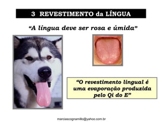 3 REVESTIMENTO da LÍNGUA3 REVESTIMENTO da LÍNGUA
““O revestimento lingual éO revestimento lingual é
uma evaporação produzidauma evaporação produzida
pelo Qi do E”pelo Qi do E”
““A língua deve ser rosa e úmida””
marciascognamillo@yahoo.com.br
 