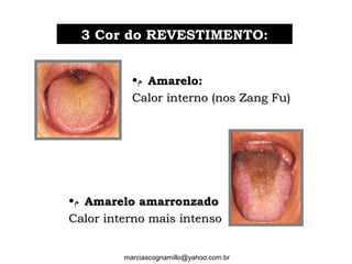 •‫ﻡ‬ Amarelo:Amarelo:
Calor interno (nos Zang Fu)Calor interno (nos Zang Fu)
33 Cor do REVESTIMENTO:Cor do REVESTIMENTO:
•‫ﻡ‬ Amarelo amarronzadoAmarelo amarronzado
Calor interno mais intensoCalor interno mais intenso
marciascognamillo@yahoo.com.br
 