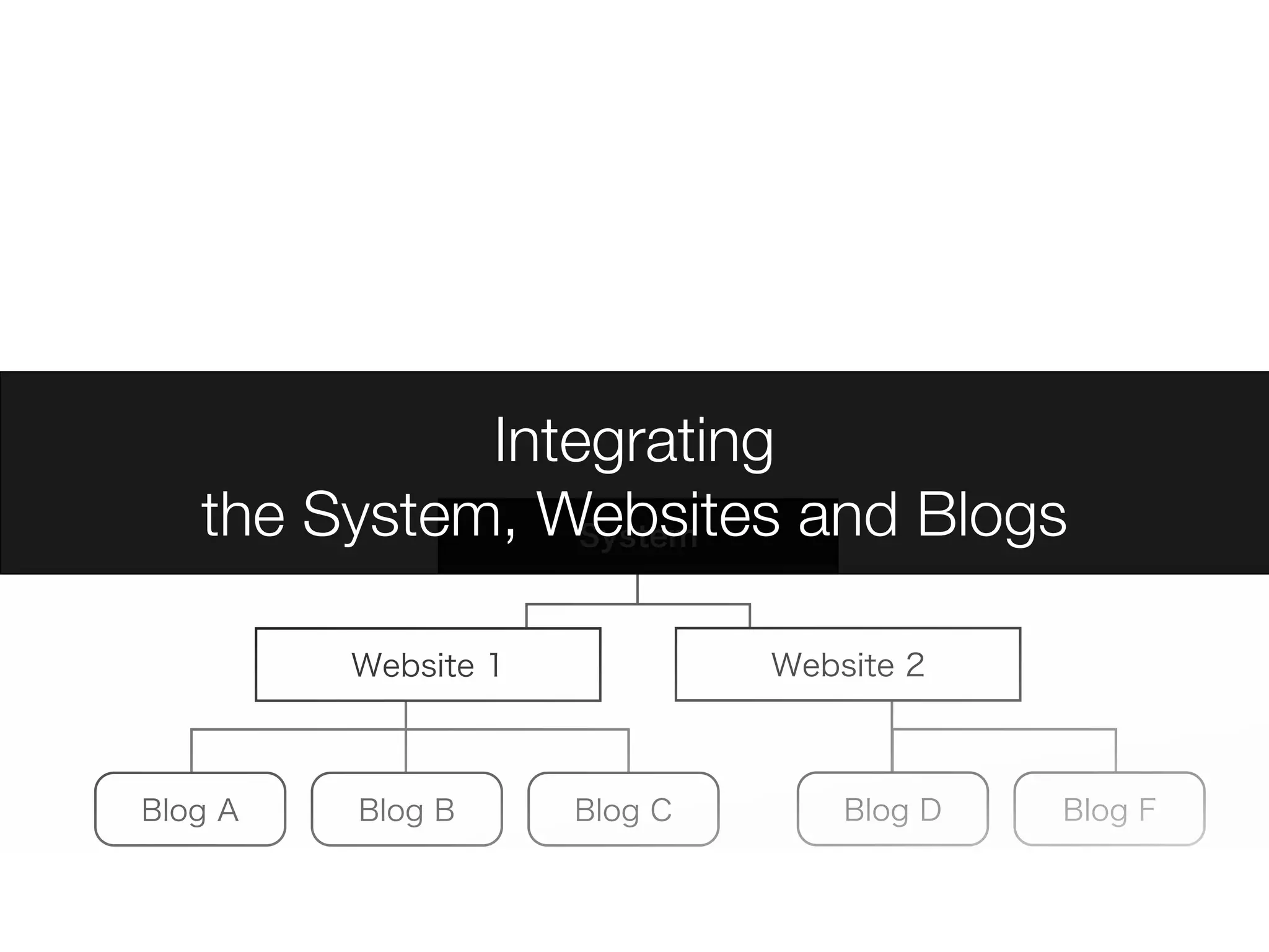 Integrating
the System, Websites and Blogs
 