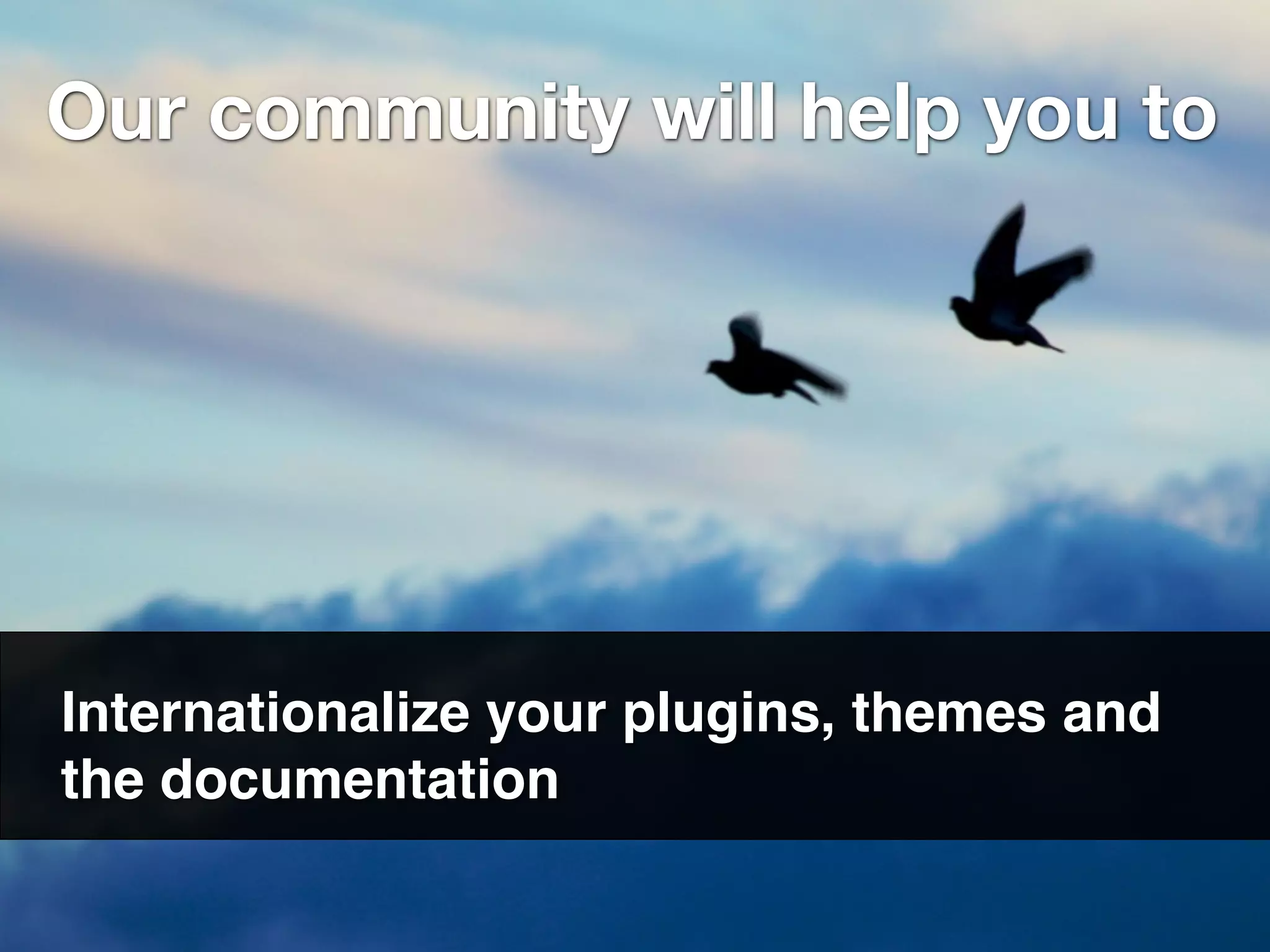 Our community will help you to




Internationalize your plugins, themes and
the documentation
 