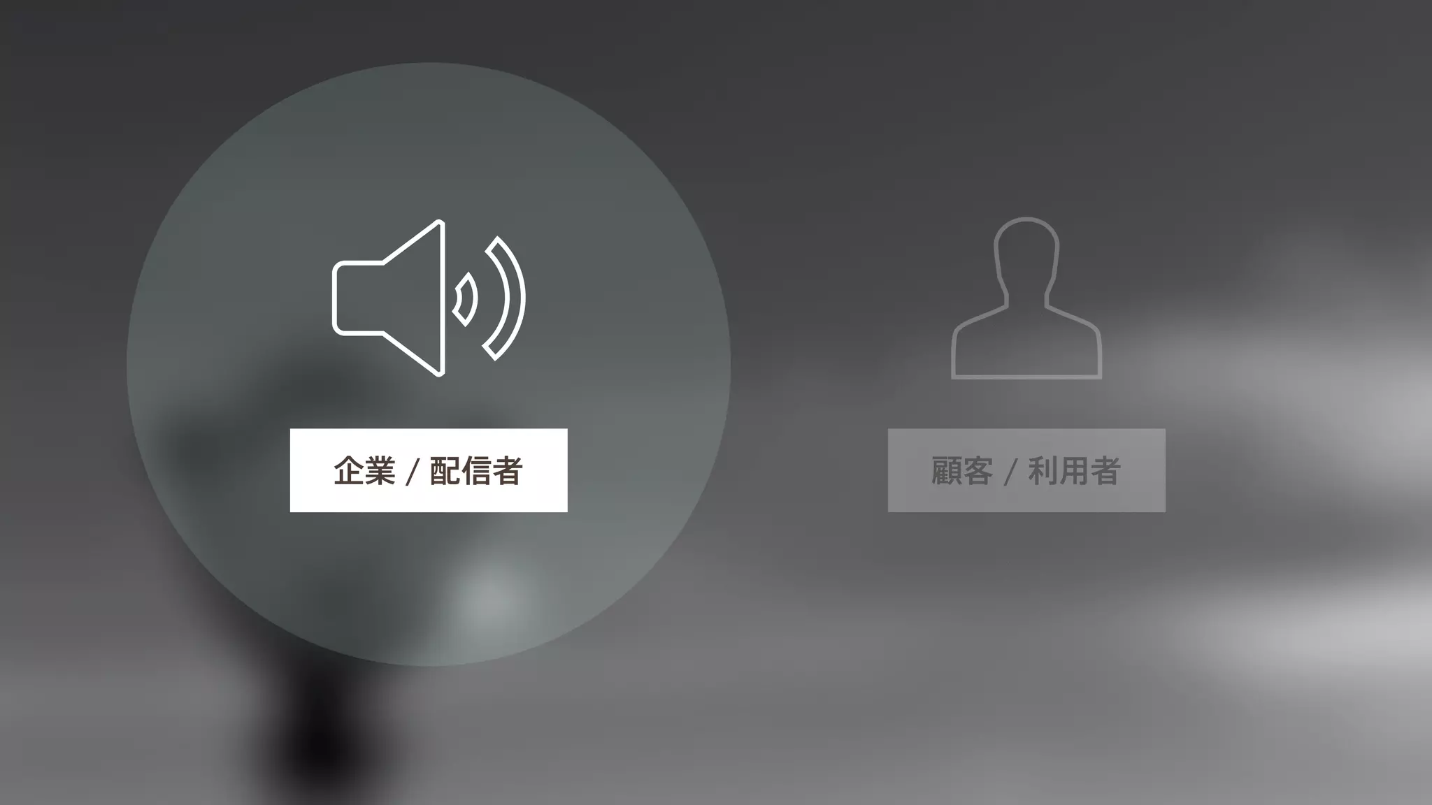 企業 / 配信者顧客 / 利用者 
 