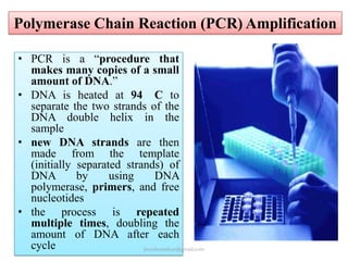 Polymerase Chain Reaction (PCR) Amplification
• PCR is a “procedure that
makes many copies of a small
amount of DNA.”
• DNA is heated at 94 C to
separate the two strands of the
DNA double helix in the
sample
• new DNA strands are then
made from the template
(initially separated strands) of
DNA
by
using
DNA
polymerase, primers, and free
nucleotides
• the process is repeated
multiple times, doubling the
amount of DNA after each
cycle
jitenderanduat@gmail.com

 