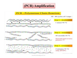 (PCR) Amplification

jitenderanduat@gmail.com

 