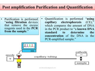 Post amplification Purification and Quantification
• Purification is performed
“using filtration devices
that remove the excess
reagents used in the PCR
from the sample.”

• Quantification is performed “using
capillary electrophoresis (CE),”
which compares the amount of DNA
in the PCR product to “a known DNA
standard
to
determine
the
concentration of the DNA in the
PCR-amplified sample.”

jitenderanduat@gmail.com

 