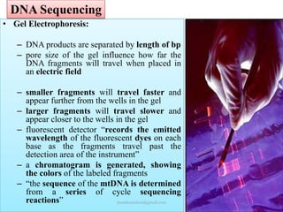 DNA Sequencing
• Gel Electrophoresis:
– DNA products are separated by length of bp
– pore size of the gel influence how far the
DNA fragments will travel when placed in
an electric field
– smaller fragments will travel faster and
appear further from the wells in the gel
– larger fragments will travel slower and
appear closer to the wells in the gel
– fluorescent detector “records the emitted
wavelength of the fluorescent dyes on each
base as the fragments travel past the
detection area of the instrument”
– a chromatogram is generated, showing
the colors of the labeled fragments
– “the sequence of the mtDNA is determined
from a series of cycle sequencing
reactions”
jitenderanduat@gmail.com

 
