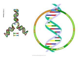 jitenderanduat@gmail.com

 