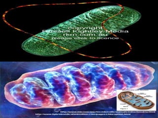 jitenderanduat@gmail.com

 