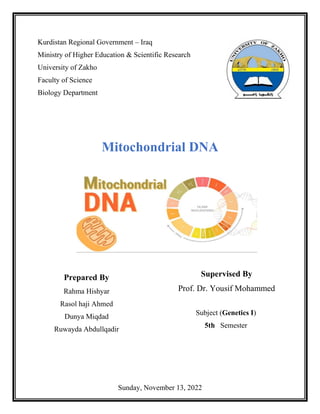 Sunday, November 13, 2022
Kurdistan Regional Government – Iraq
Ministry of Higher Education & Scientific Research
University of Zakho
Faculty of Science
Biology Department
Mitochondrial DNA
Subject (Genetics I)
5th Semester
Prepared By
Rahma Hishyar
Rasol haji Ahmed
Dunya Miqdad
Ruwayda Abdullqadir
Supervised By
Prof. Dr. Yousif Mohammed
 