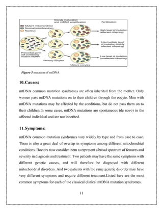 Mtdna Inheritance Journal Image Mitochondrial DNA Report - Rasol Sindy | PDF