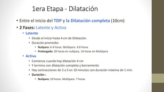 1era Etapa - Dilatación
• Entre el inicio del TDP y la Dilatación completa (10cm)
• 2 Fases: Latente y Activa
• Latente
• Desde el inicio hasta 4 cm de Dilatación.
• Duración promedio:
• Nulipara: 6.4 horas. Multípara: 4.8 horas
• Prolongado: 20 horas en nulípara, 14 horas en Multípara
• Activa
• Comienza cuando hay dilatación 4 cm
• Y termina con dilatación completa y borramiento
• Hay contracciones de 3 a 5 en 10 minutos con duración máxima de 1 min.
• Duración :
• Nulípara: 10 horas. Multípara: 7 horas
 