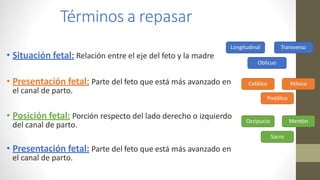 Términos a repasar
• Situación fetal: Relación entre el eje del feto y la madre
• Presentación fetal: Parte del feto que está más avanzado en
el canal de parto.
• Posición fetal: Porción respecto del lado derecho o izquierdo
del canal de parto.
• Presentación fetal: Parte del feto que está más avanzado en
el canal de parto.
Longitudinal Transverso
Oblicuo
Cefálico Pélvico
Podálico
Occipucio Mentón
Sacro
 