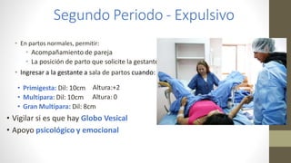Segundo Periodo - Expulsivo
• En partos normales, permitir:
• Acompañamiento de pareja
• La posición de parto que solicite la gestante
• Ingresar a la gestante a sala de partos cuando:
• Primigesta: Dil: 10cm
• Multípara: Dil: 10cm
Altura:+2
Altura: 0
• Gran Multípara: Dil: 8cm
• Vigilar si es que hay Globo Vesical
• Apoyo psicológico y emocional
 