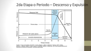 2da Etapa o Periodo – Descenso y Expulsión
 