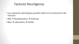 Factores Neurógenos
• Las sustancias adrenérgicas pueden influir en la contracción del
músculo.
• Alfa  Noradrenalina  Estimula
• Beta  adrenalina  Inhibe
 