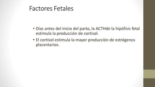 Factores Fetales
• Días antes del inicio del parto, la ACTHde la hipófisis fetal
estimula la producción de cortisol.
• El cortisol estimula la mayor producción de estrógenos
placentarios.
 