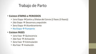 Trabajo de Parto
• Existen ETAPAS o PERIODOS
• 1era Etapa Contrx y Dilatax del Cervix (2 fases (3 fases))
• 2da Etapa  Descenso y expulsión
• 3era Etapa  Alumbramiento
• 4ta Etapa  Puerperio
• Existen FASES
• 1era Fase  Quiescencia
• 2da Fase  Activación
• 3era Fase  Estimulación
• 4ta Fase  Involución
 