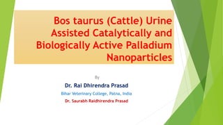 Bos taurus (Cattle) Urine
Assisted Catalytically and
Biologically Active Palladium
Nanoparticles
By
Dr. Rai Dhirendra Prasad
Bihar Veterinary College, Patna, India
Dr. Saurabh Raidhirendra Prasad
 