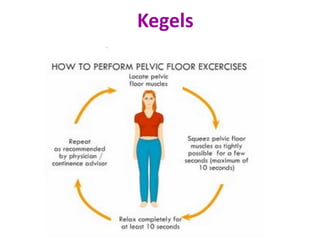 Kegels
 