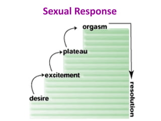 Sexual Response
 
