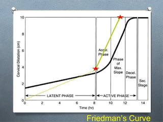 Mternal death review lecture by dr. evelina r. castro 102413 | PPT